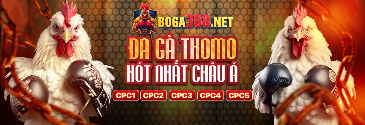 Cơ Chế Hoạt Động Đại Lý 88xx link