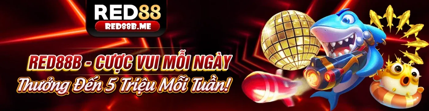 Chính sách Cookie 88xx link